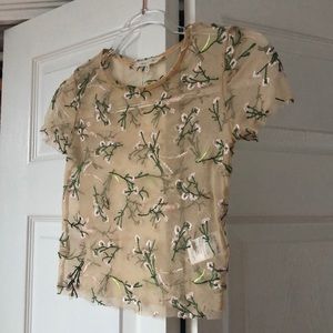 Sheer Urban Outfitters Rose Top